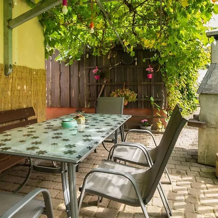 In Saxon With Terrace * Зебниц